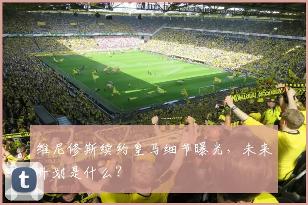 维尼修斯续约皇马细节曝光，未来计划是什么？