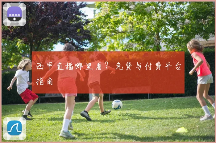 西甲直播哪里看？免费与付费平台指南